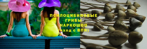 гашиш Новозыбков