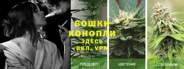 гашиш Новозыбков