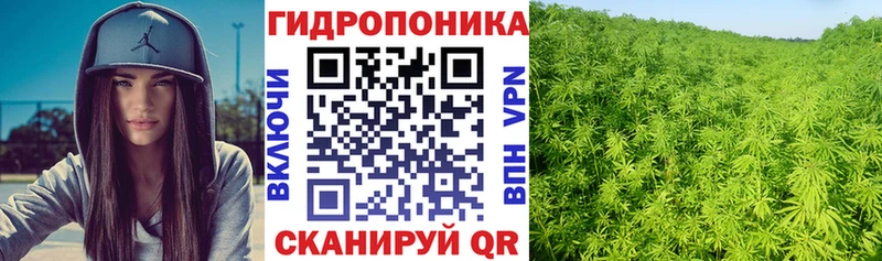купить наркотики цена  MEGA ссылки  Марихуана Amnesia  Питкяранта 